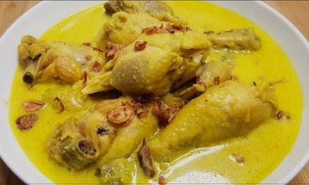 Olahan Ayam Menjadi Opor Yang Sangat Lezat Dan Nikmat