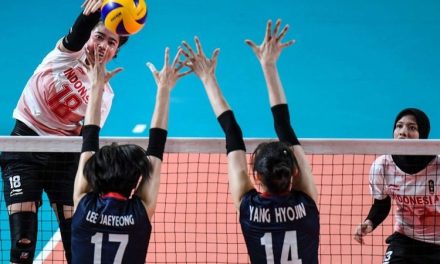 Olahraga Bola Tangan Voli Yang Bermain Secara Tim