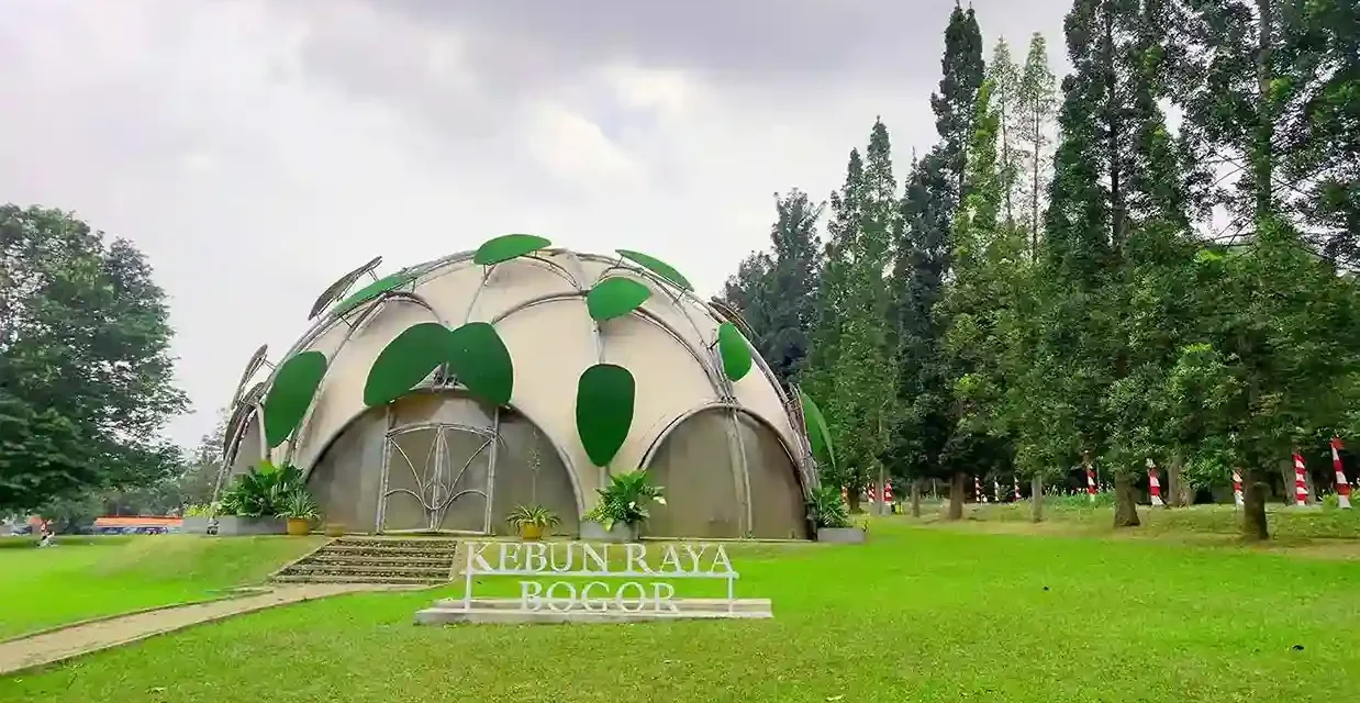 Pekarangan Rumah Dengan Memiliki Kebun Bunga