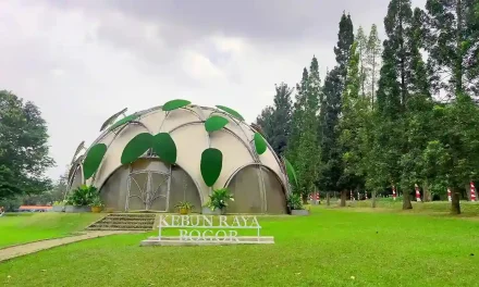 Pekarangan Rumah Dengan Memiliki Kebun Bunga