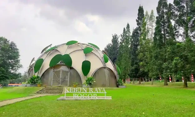 Pekarangan Rumah Dengan Memiliki Kebun Bunga