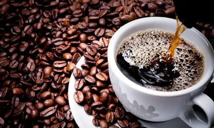 Tanaman Biji Kopi Sebagai Minuman Kebanyakan Pria