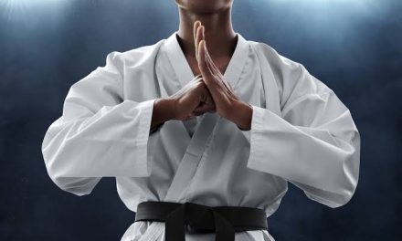 Negara Jepang Memiliki Beberap Bela Diri Termasuk Karate