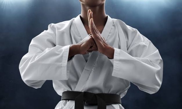 Negara Jepang Memiliki Beberap Bela Diri Termasuk Karate