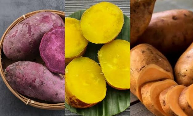 Makanan Tanaman Umbi Dengan Beberapa Olahan